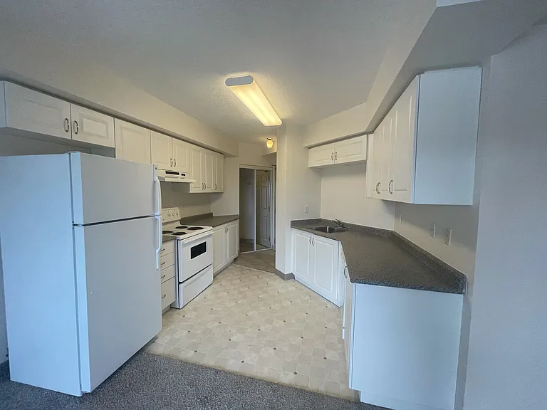736 Old Albert St — Photo 10