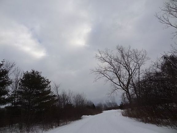 5th image of 13315 Fisher Rd