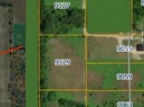 9131 Kellogg Dr, Reading, MI 49274