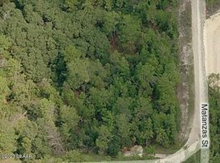 906 Blackjack Ridge Trl, Lake Helen, FL 32744
