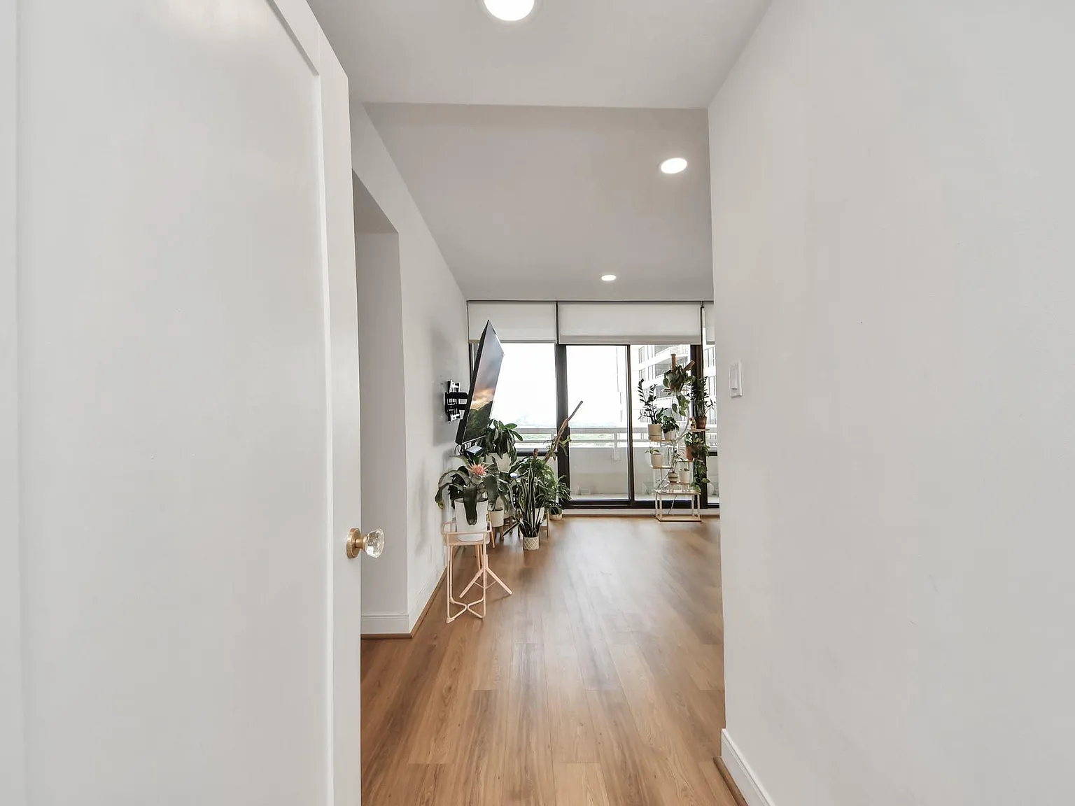2 bed, 2.0 bath, 1569 sqft, $4,000 — Photo 3