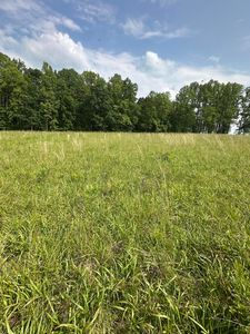 Miller Ridge Rd, Hico, WV, 25854