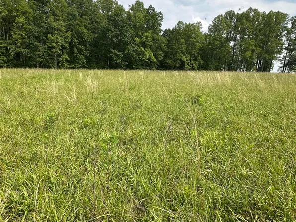 Miller Ridge Rd, Hico, WV 25854