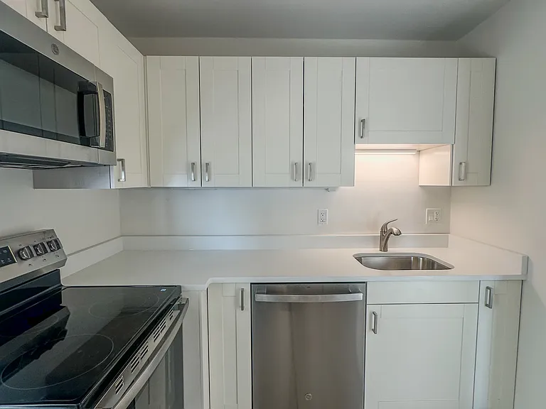 1255 N Sandburg Ter #2403 — Photo 6