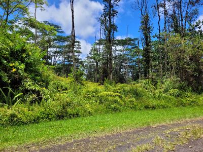 14-3381 Mayzee Rd Lot 1115, Pahoa, HI, 96778