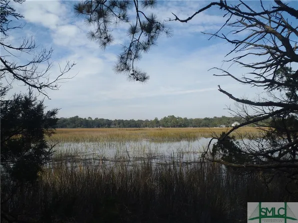 55 Mission Drive, Darien, GA 31305