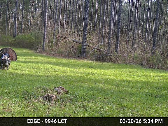 4th image of 0 Long Cane Rd