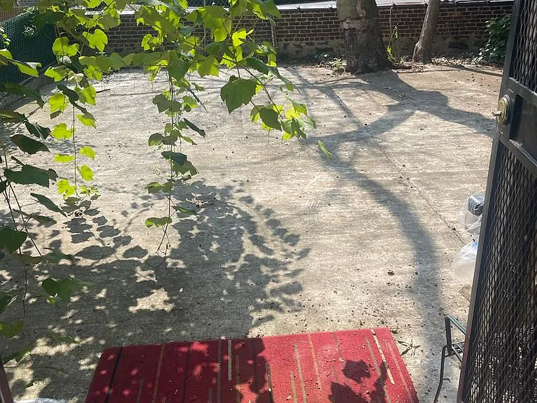 Back yard