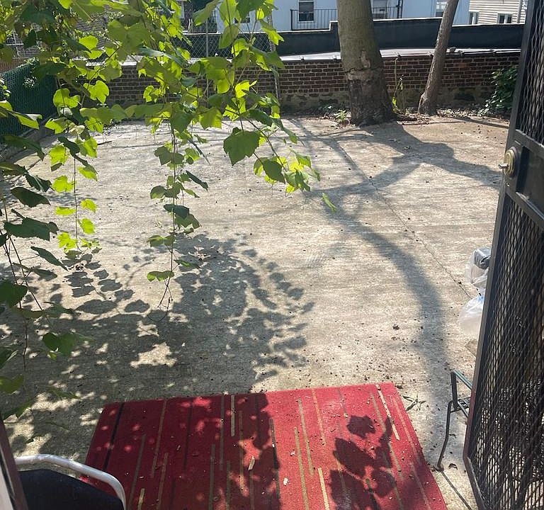 Back yard
