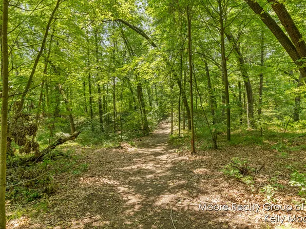 V/l 10472 Sw Greenville Rd, Greenville, MI 48838