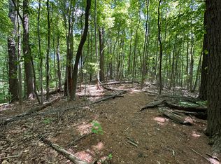 0 Mount Chestnut Rd, Roanoke, VA 24018