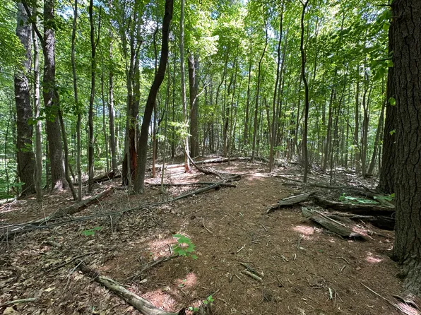 0 Mount Chestnut Rd, Roanoke, VA 24018