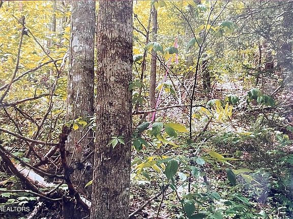 3rd image of 3 Old Cades Cove Rd Lot 3
