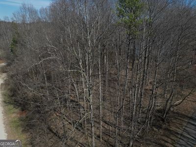 0 Old Chism Trl, Lavonia, GA, 30553