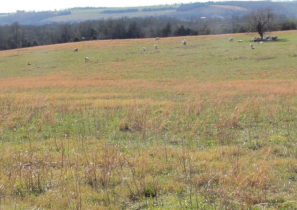 1st image of County Road Madison #2185