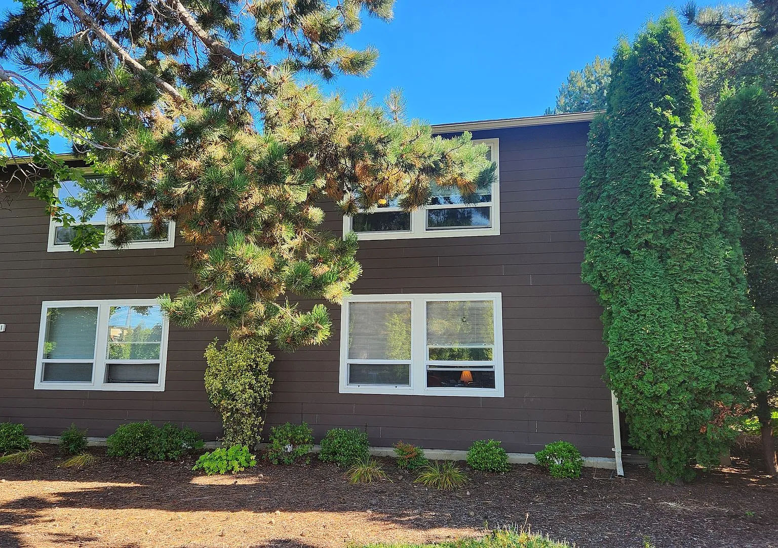 2 bed 1 bath near WWU — Photo 2
