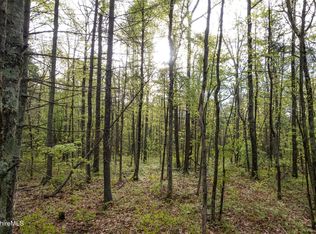 0 Amory Ln, Southfield, MA 01259