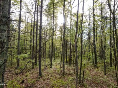 0 Amory Ln, Southfield, MA, 01259