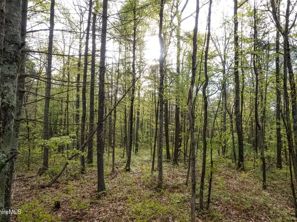 0 Amory Ln, Southfield, MA 01259