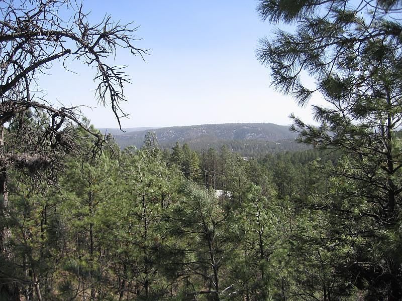 2nd image of 115 Deodar Dr