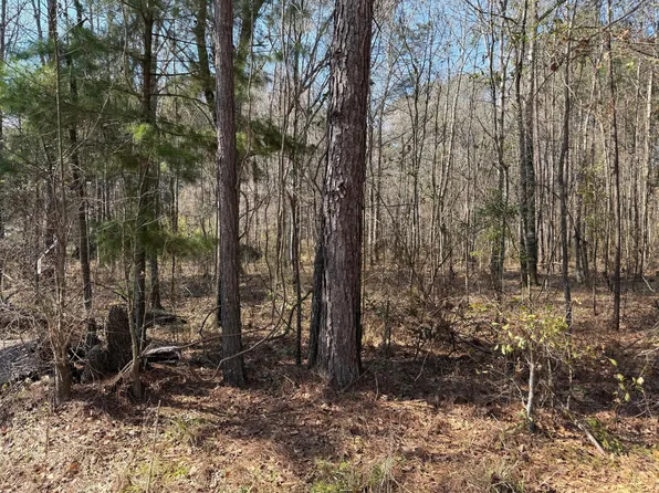 1443 Orangeburg Rd, Summerville, SC 29483