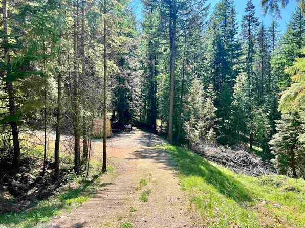 42198F Shore Acres Rd, Loon Lake, WA 99148