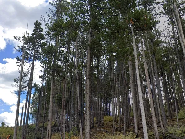 193 Blue Ridge Road, Breckenridge, CO 80424