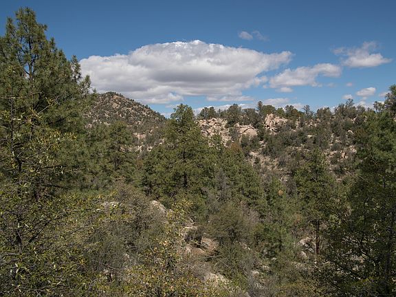 3rd image of 545 Lodge Trail Cir