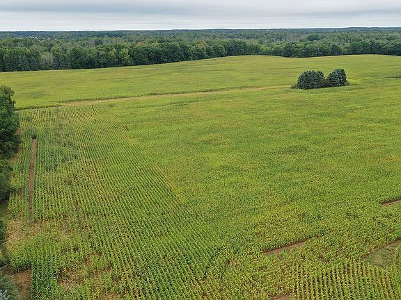 View from SE corner North