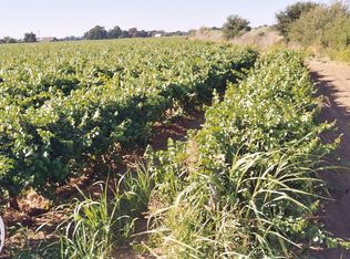 27350 N Thornton Rd, Thornton, CA 95686