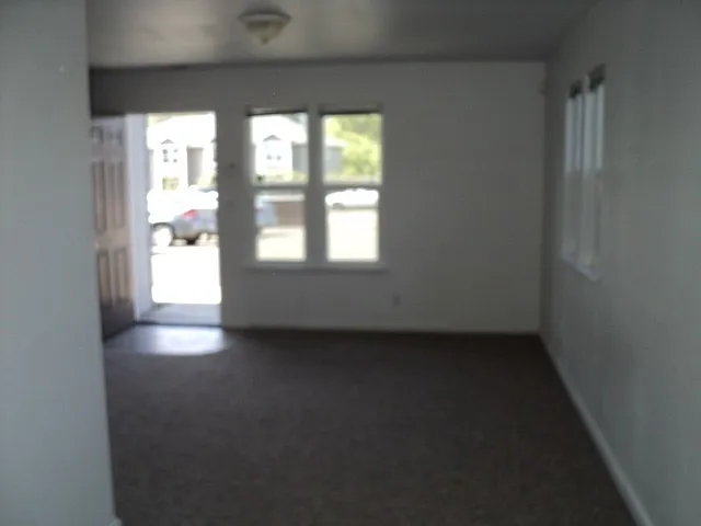 521 Vance Lake Ln — Photo 5