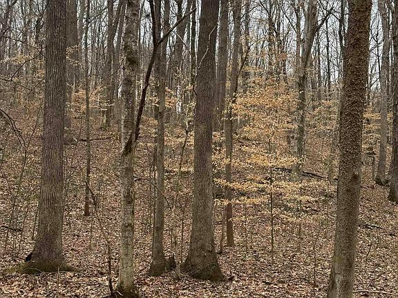 3rd image of 0 Periwinkle Hill Rd