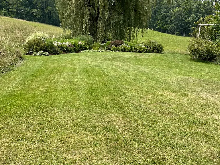 37 Red Tail Rd — Photo 4