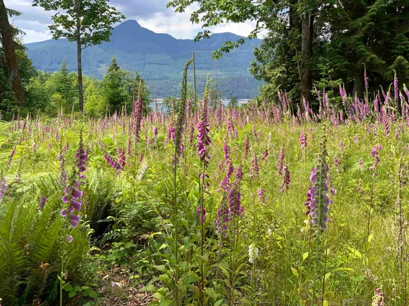LOT Cotton Bay Rd #I, Gambier Island, BC V0N 1V0