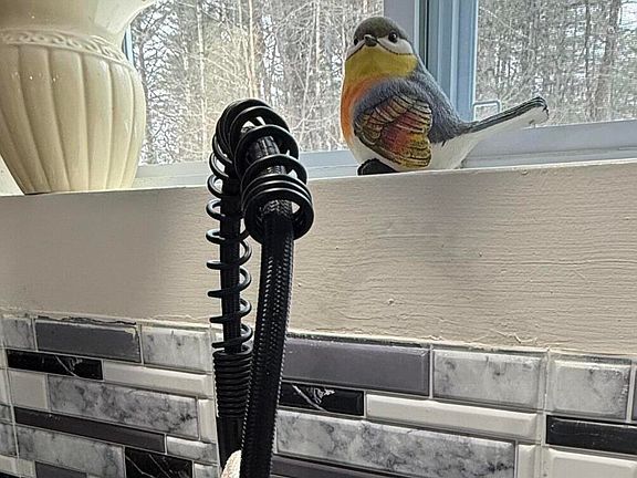 5th image of 1073 Middleline