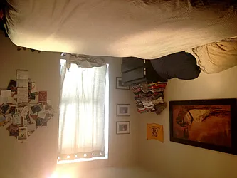 Rented by Charles Coutinho LLC