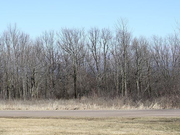 3rd image of Haycorn Hollow #Lot 1