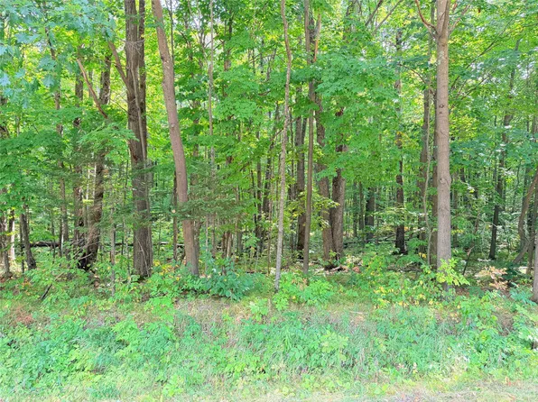 30 Acres County Highway X, Glen Flora, WI 54526