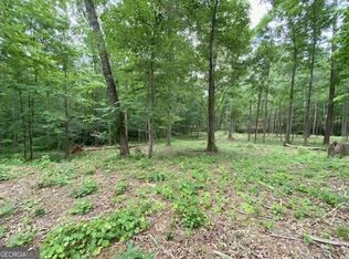 40 Laurel Rdg, Forsyth, GA 31029