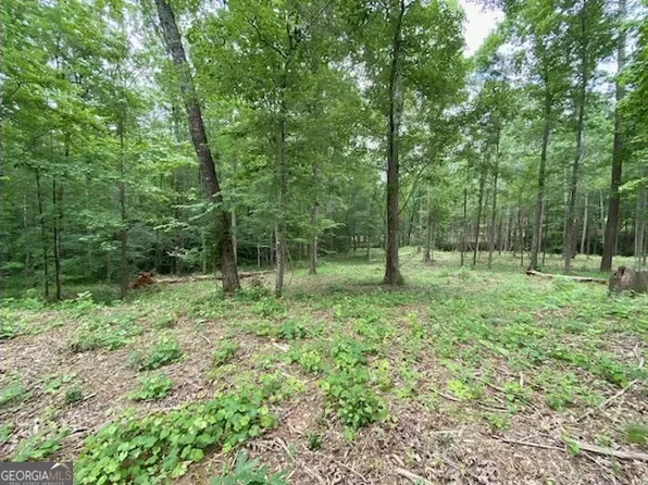 40 Laurel Rdg, Forsyth, GA 31029