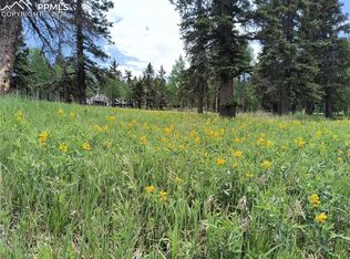 Will Scarlet Dr, Divide, CO 80814