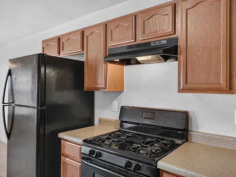 608 Cactus Creek Pl — Photo 11