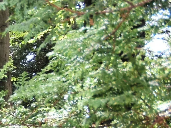 0 Minnesota, Port Orchard, WA 98366