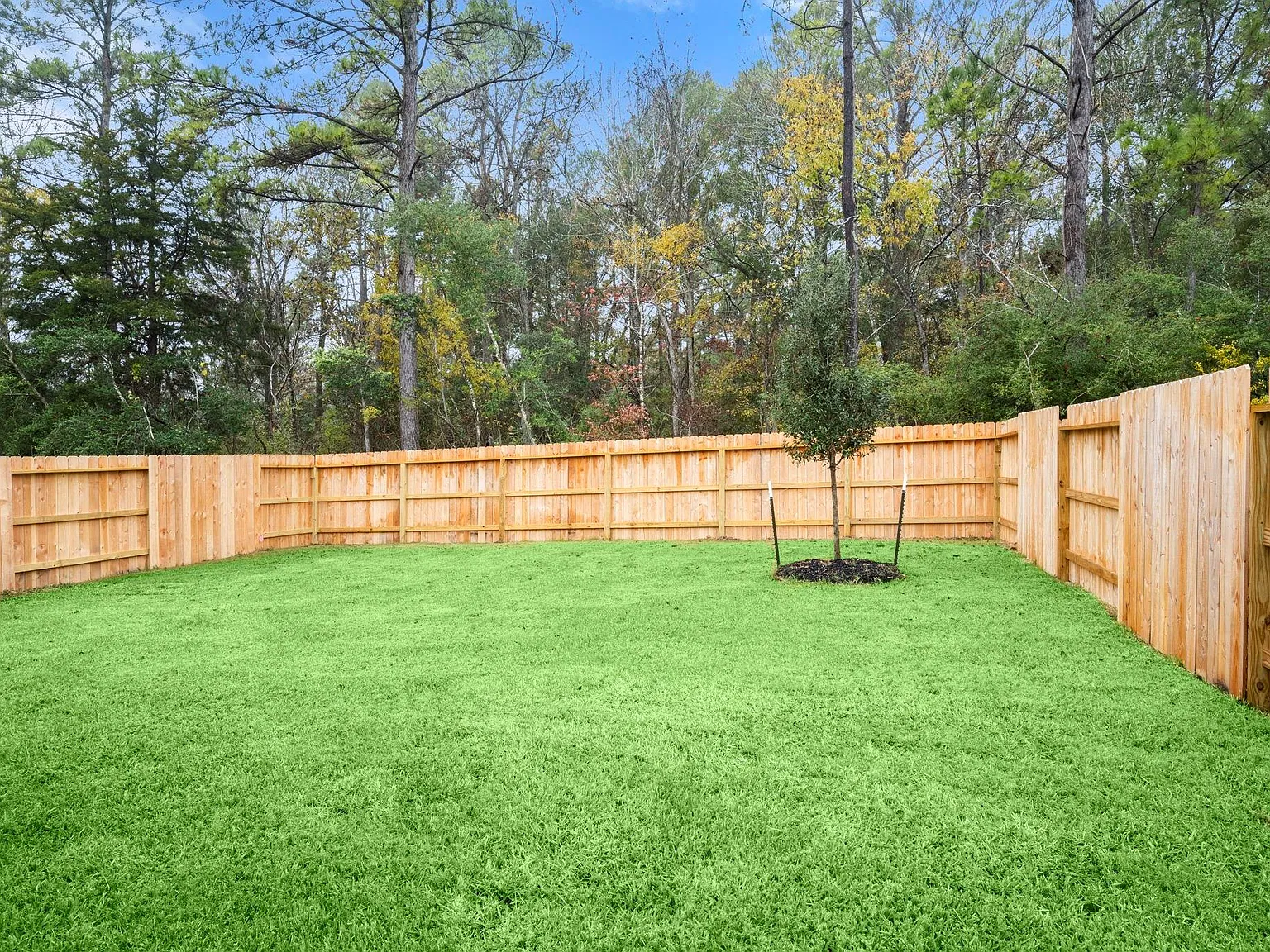 4 bed, 2.0 bath, 2253 sqft, $2,300 — Photo 2