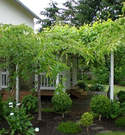 Incredible plantings