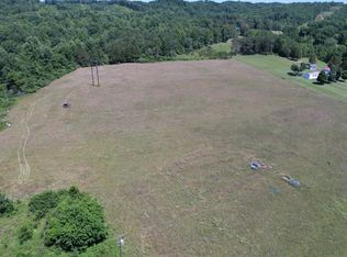 5047 Toestring Valley Rd, Spring City, TN 37381