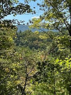 2nd image of Chestnut Valley Rd