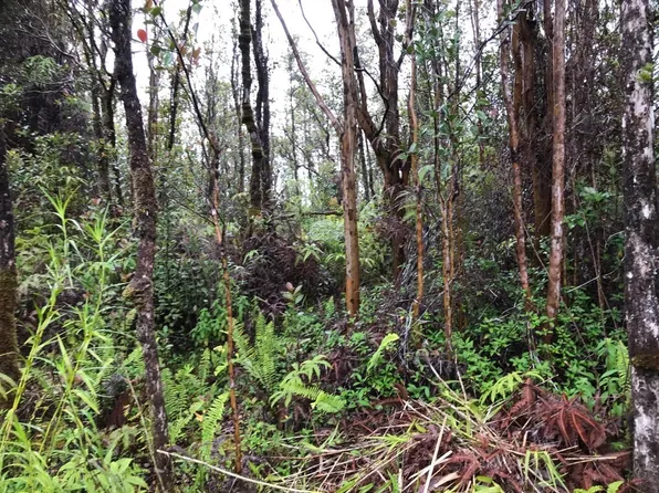 Punahele St Lot 15, Mountain View, HI 96771