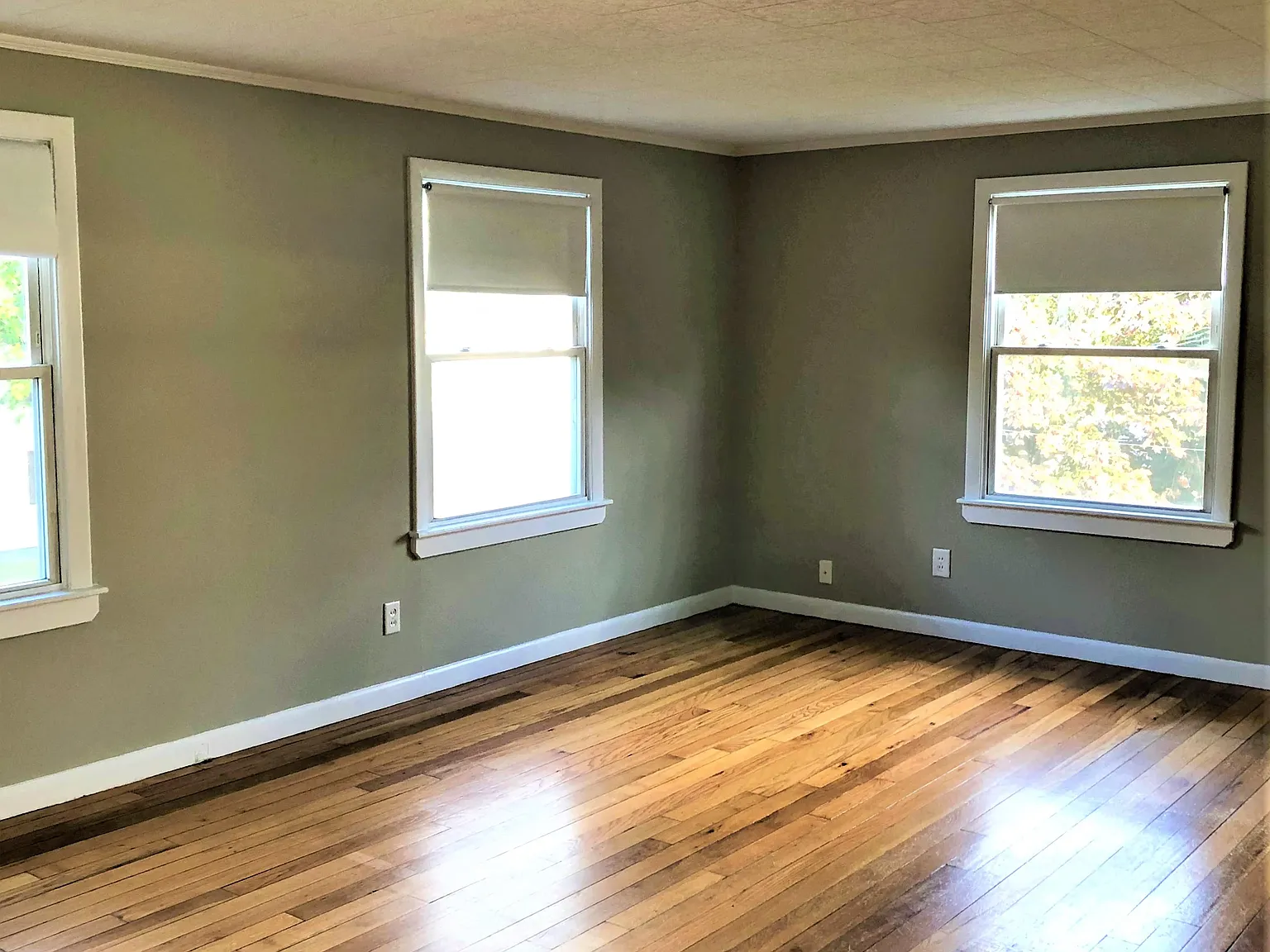 1 bed, 542 sqft, $1,895 — Photo 3