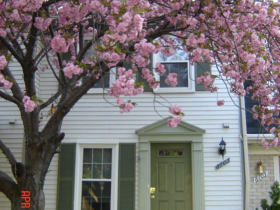 Front of the House